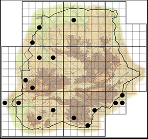 Sarangesa phidyle Waterberg distribution